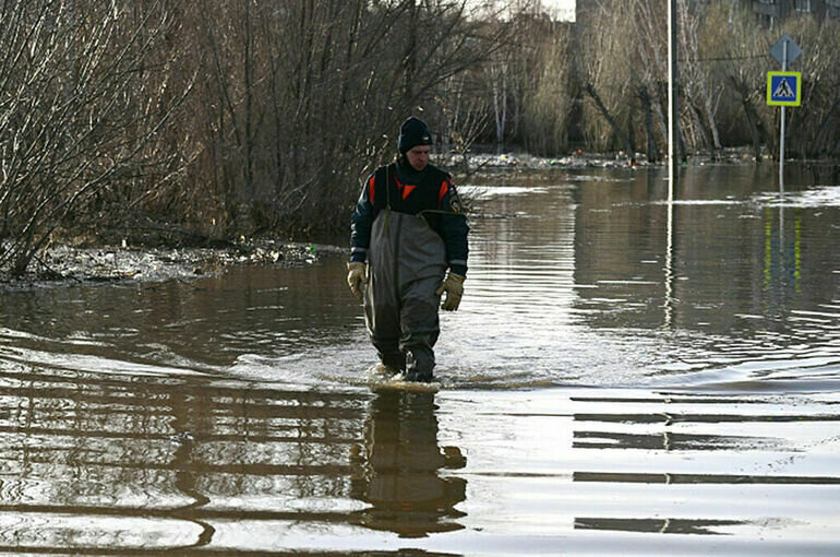   Владимир Астапкович / РИА Новости