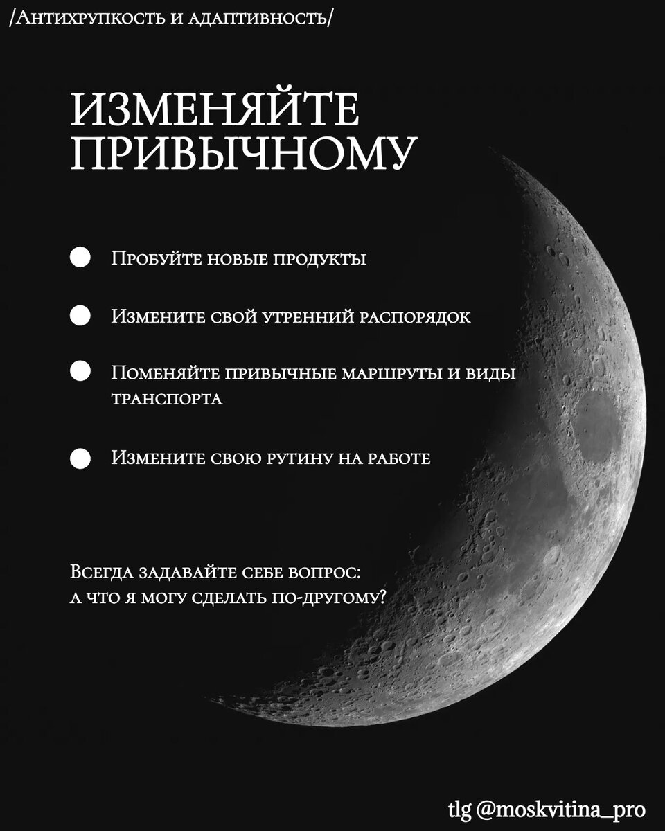 Как быть гибким к изменениям: антихрупкость, адаптивность | Наталья  Москвитина | Про рост и развитие | Дзен