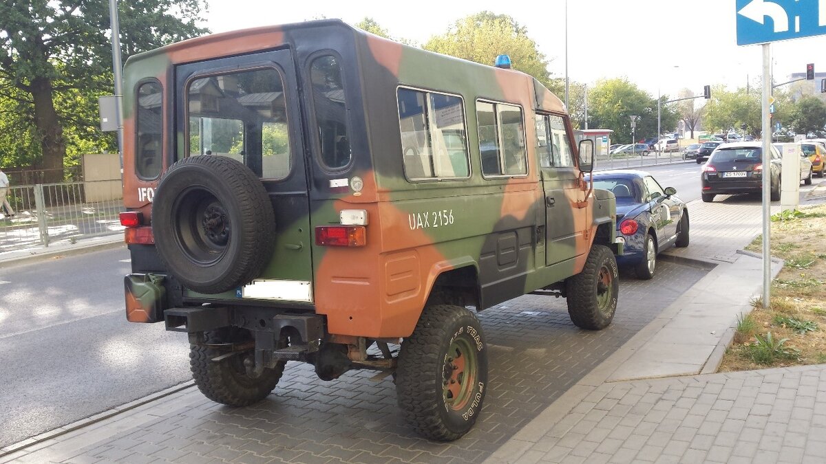 Tarpan Honker сзади. Источник фото: commons.m.wikimedia.org