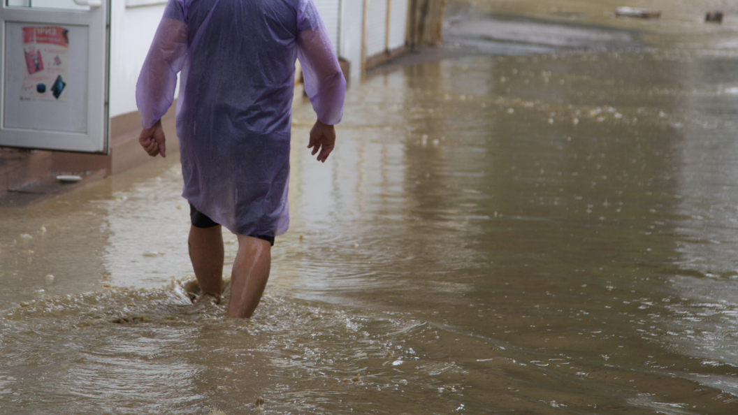    Aleksander Lyskin/Globallookpress