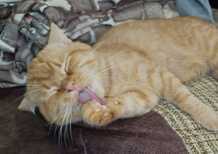 Фото Светланы Журавка.