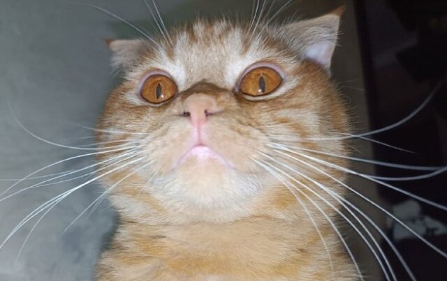 Фото Светланы Журавка.