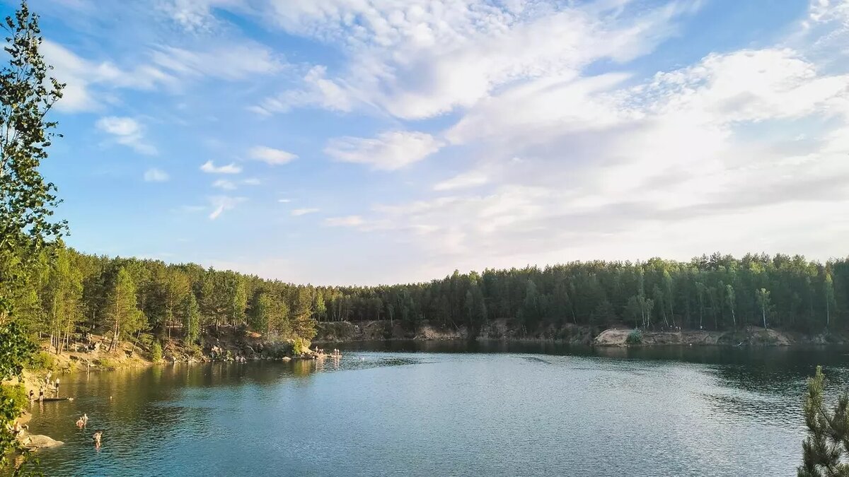     На реку Аркарка, которая протекает в Тарском районе, прилетели редкие птицы — малые бакланы.