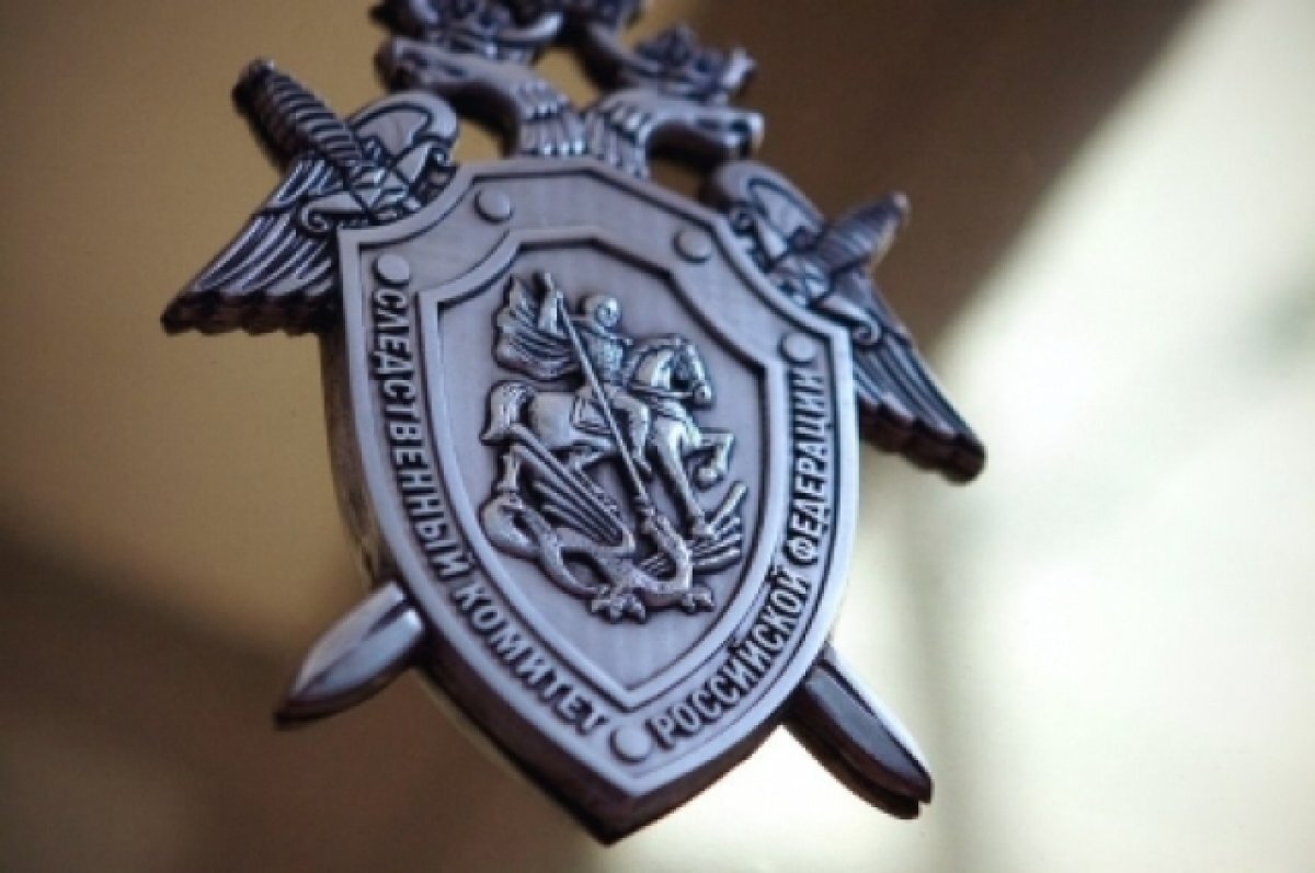    СК возбудил дело о финансировании терроризма чиновниками США и стран НАТО