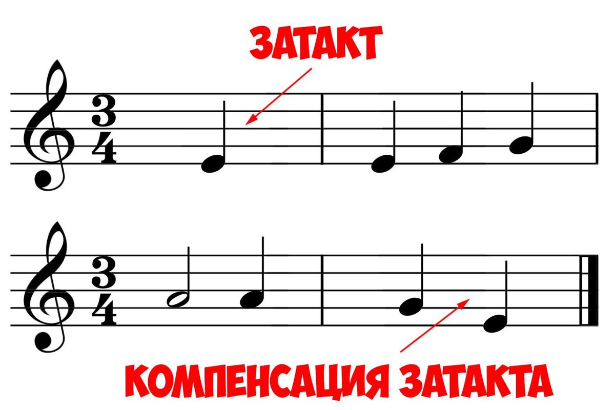 Урок 5. Тактовая черта, такт, размер, метр, затакт | Hodor_1004 | Дзен
