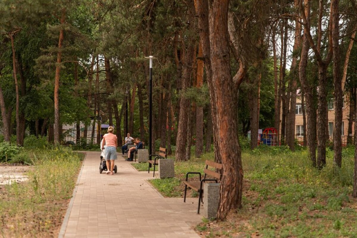 Жители Курска активно наводят порядок в родном городе | Вести-Курск | Дзен