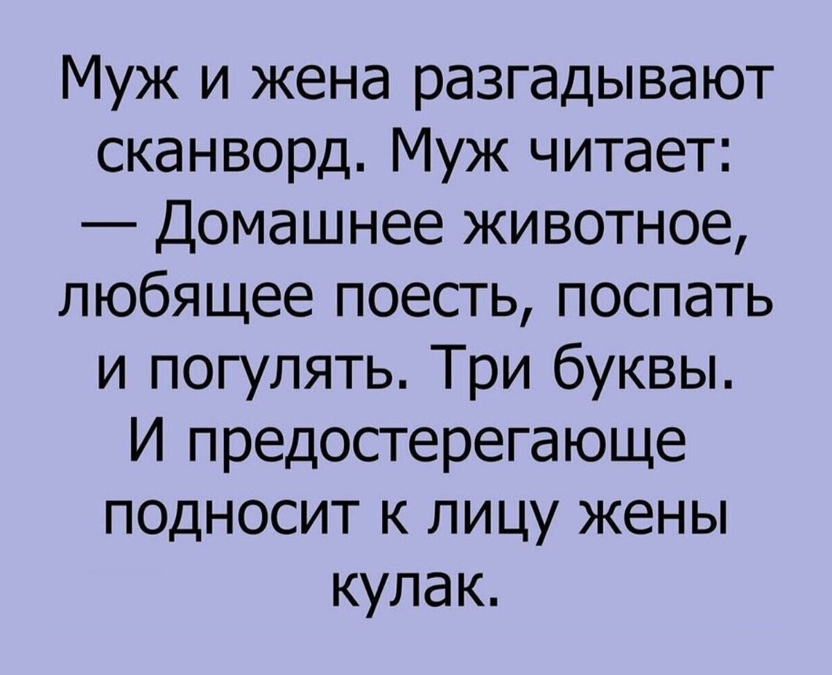 Самые смешные анекдоты про семейную жизнь, которые заставят вас расмеяться до  слез | Шутки в квадрате | Дзен