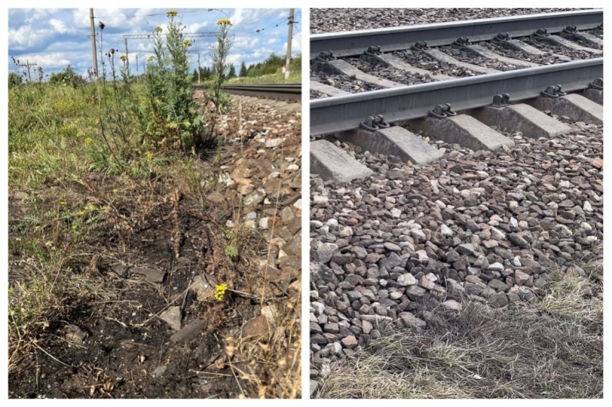    Место, где нашли девочку в 2023 году и 2024 году