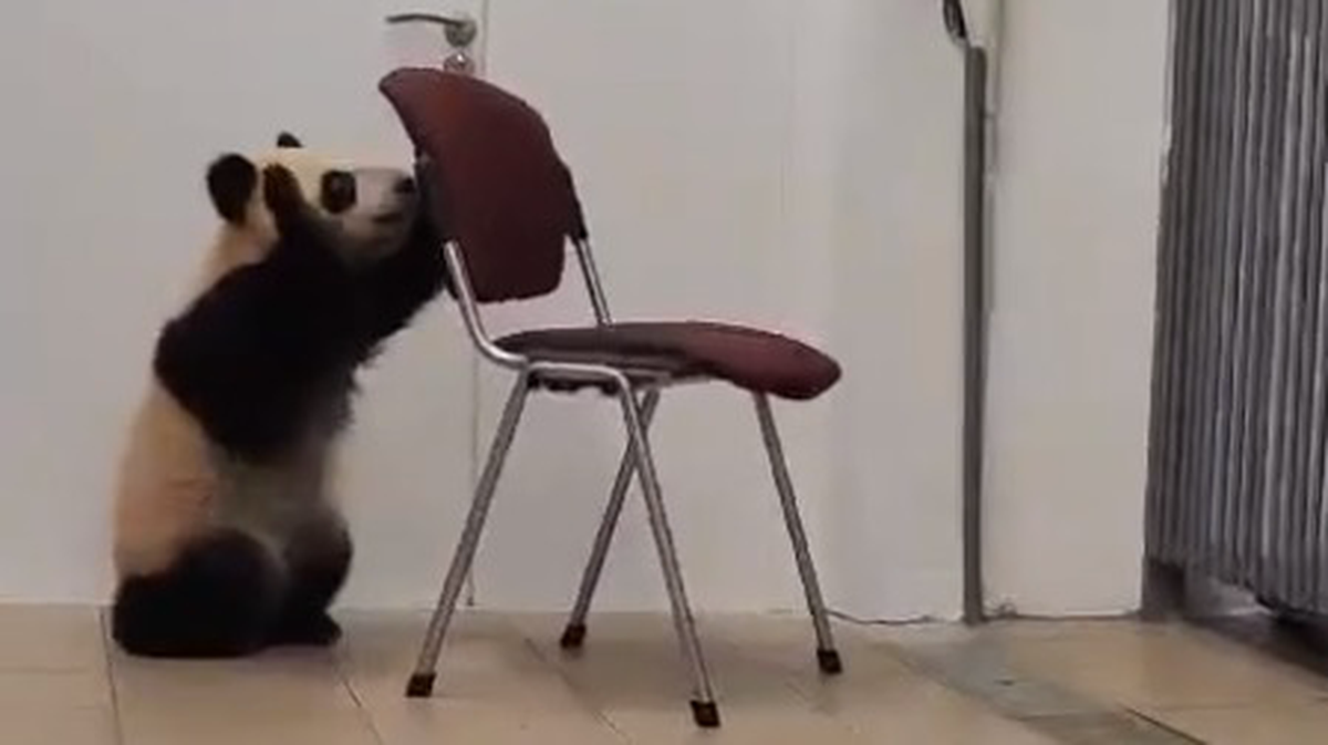    Фото: Telegram / Светлана Акулова