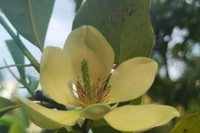 Источник фото: Галина Солтани