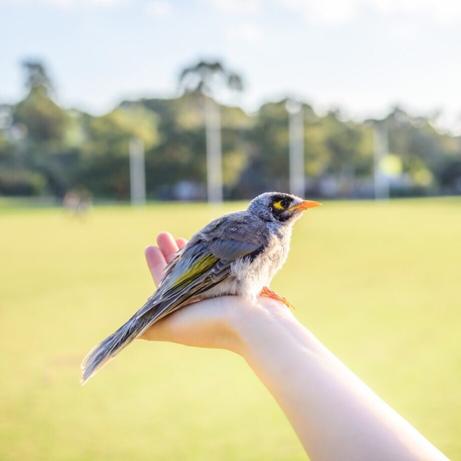 © alexphotos / Freepik