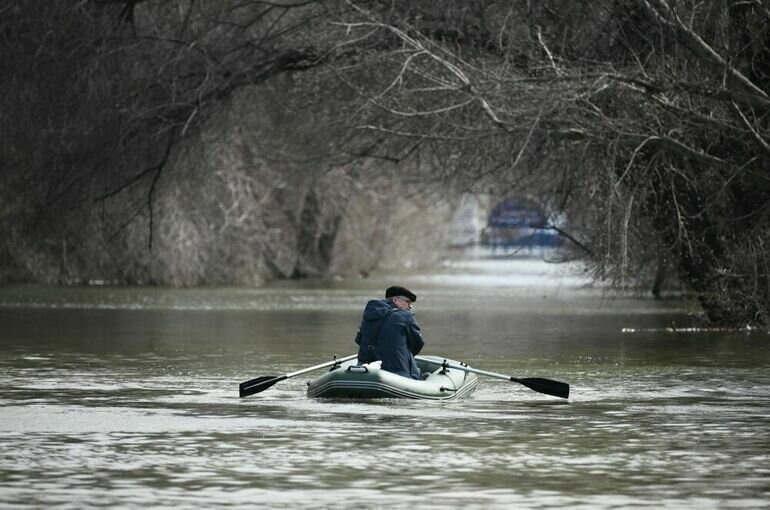   Владимир Астапкович / РИА Новости