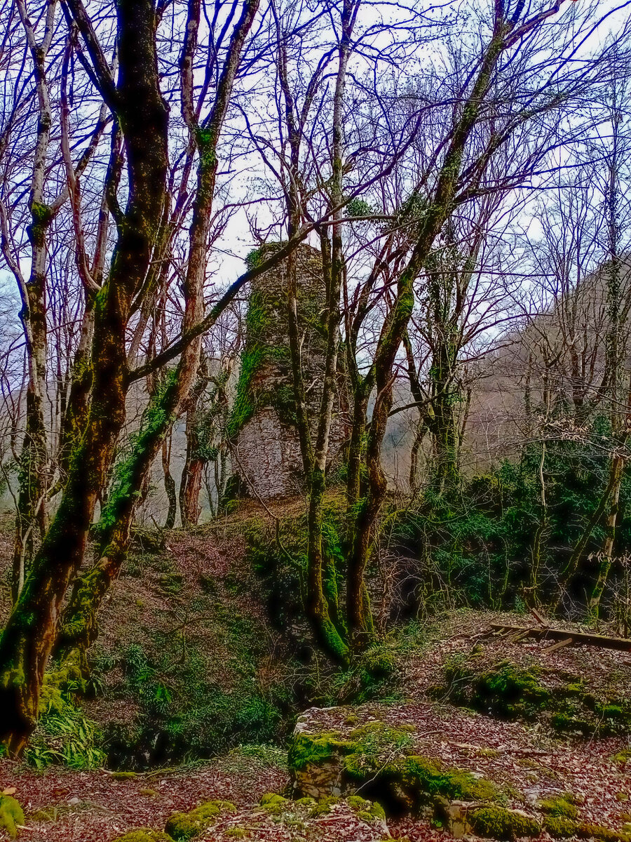 Уаз-абаа, март 2024 года