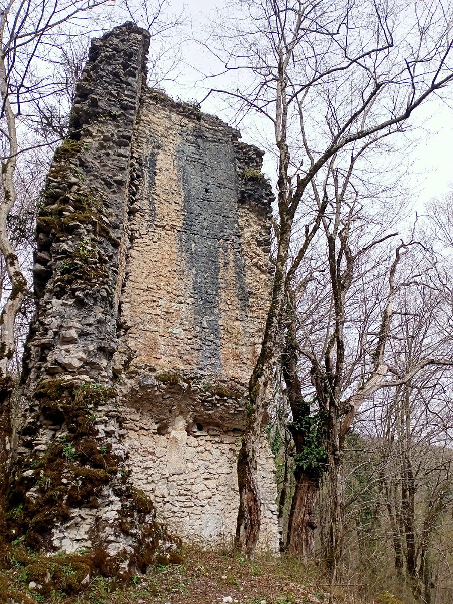 Вот она - монументальная, поросшая зеленью стена, взмывающая в небо на высоту четырехэтажного дома! 