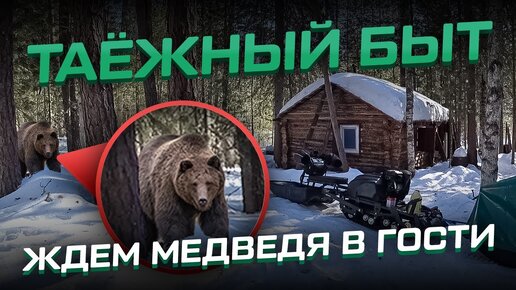 Таёжный быт! Ждём медведя в гости! Установка фотоловушек.