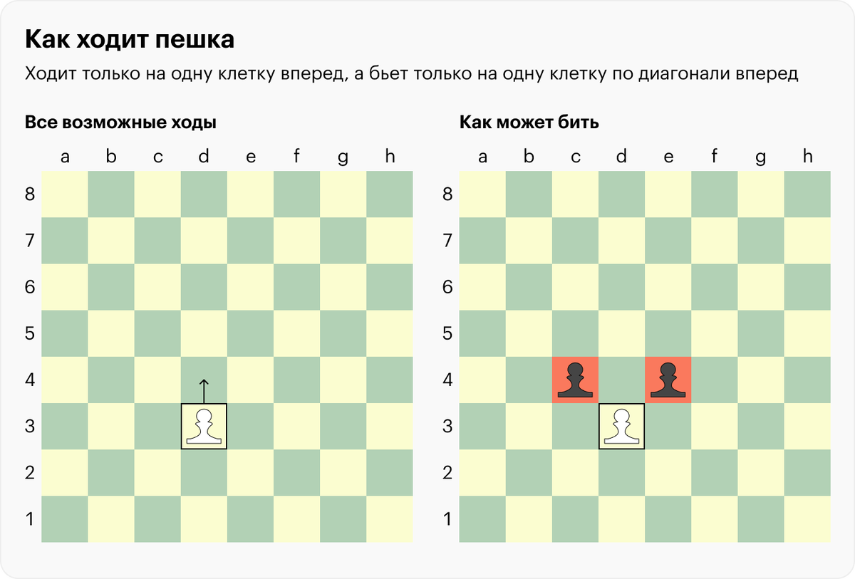 Хочу научиться играть в шахматы. С чего начать? 5 правил | Пять минут  истории | Дзен