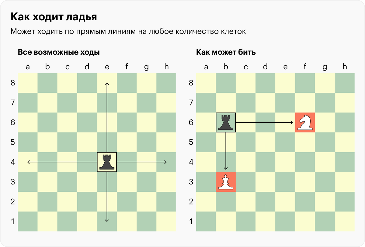 Хочу научиться играть в шахматы. С чего начать? 5 правил | Пять минут  истории | Дзен