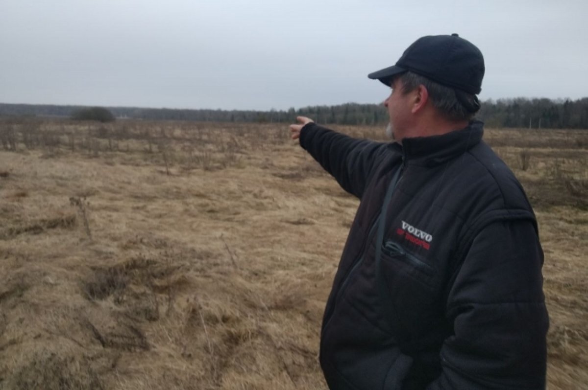    Легла костьми.