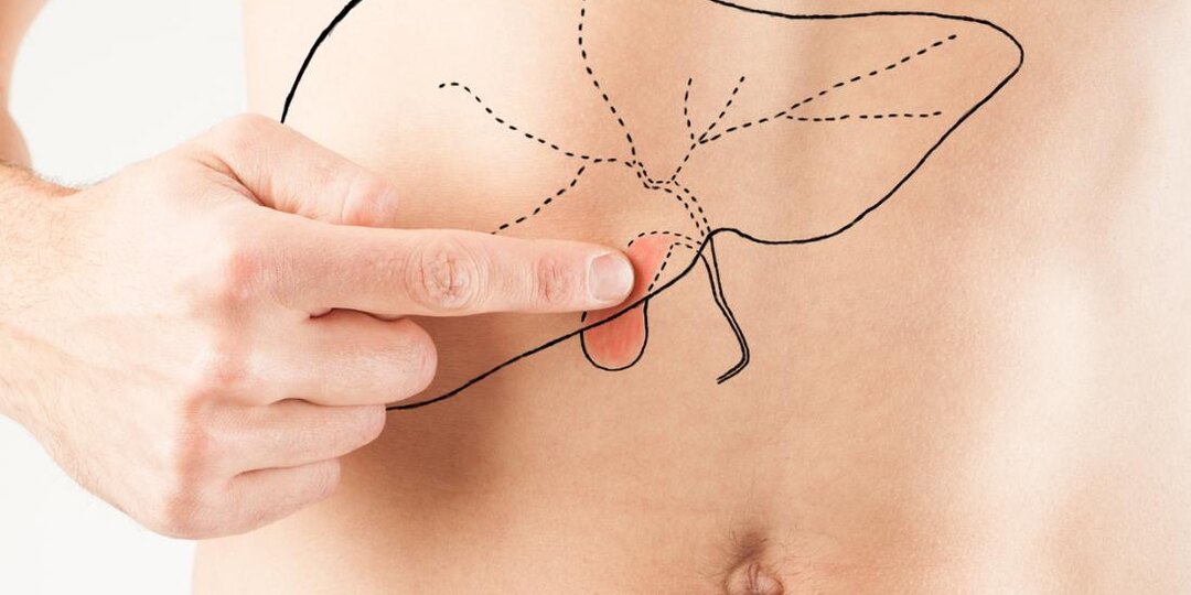 Питание после удаления желчного пузыря. Рекомендации от врача тибетской медицины