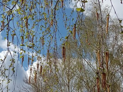 Фотография из личного архива автора