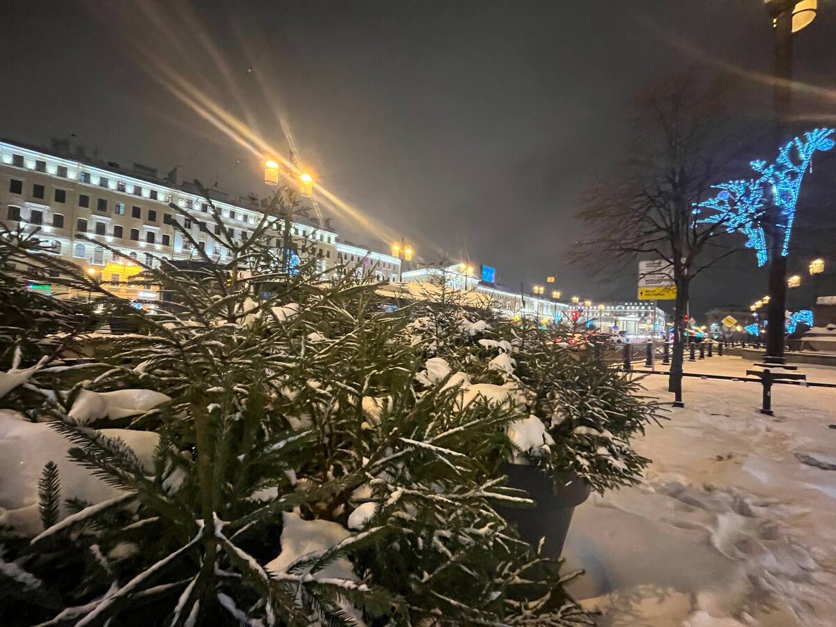 Специалисты решили, что дерево мешает электропроводам и представляет опасность, о чем был составлен акт.  Фото: ФедералПресс / Анна Крючкова