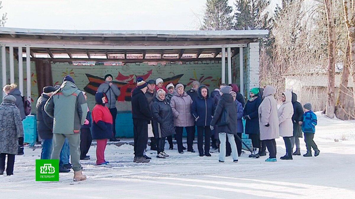 Деревенский автобус вернули на маршрут после репортажа НТВ | НТВ: лучшее |  Дзен