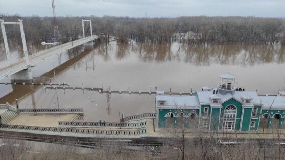    Мэр Оренбурга сообщил о резком повышении уровня воды в Урале Анастасия Романова