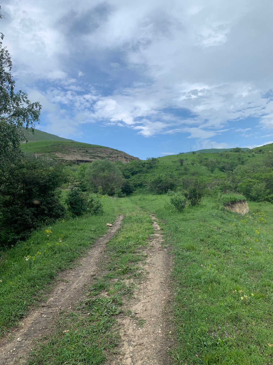 Место для примера пасторали), коровы где-то рядом)