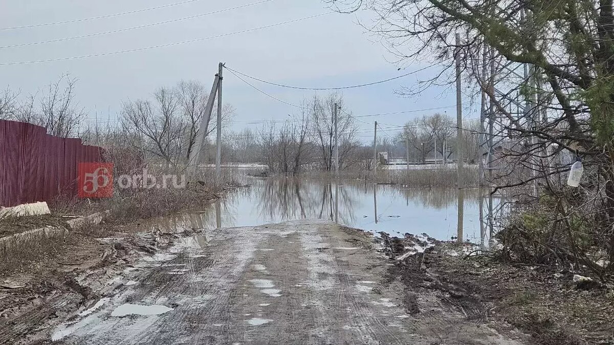 Мэр Оренбурга призвал жителей нескольких районов приготовиться к эвакуации  | 56orb.ru | Дзен