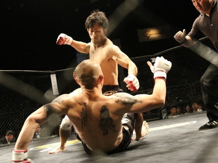     Фото: pxhere.com