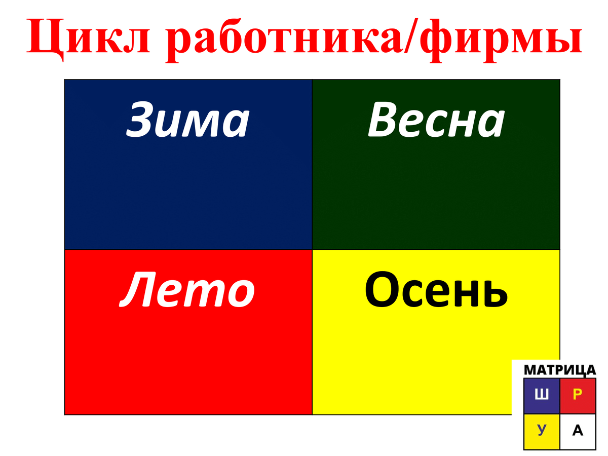 Особое расположение этапов жизненного цикла вызвано структурой Матрицы ШУРА 