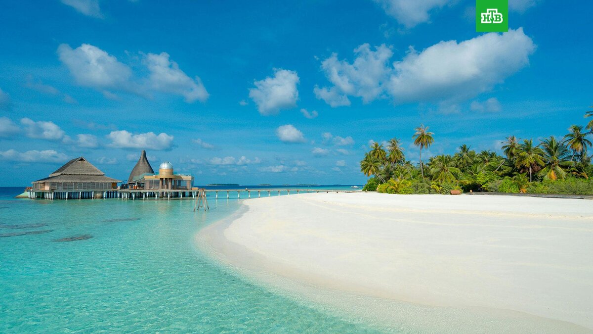    Фото: Matheen Faiz / unsplash.com