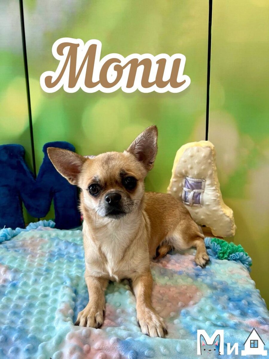 «Волонтёры мне сказали, что если я посижу спокойно и получится хорошая фотография, то мама меня обязательно заметит»