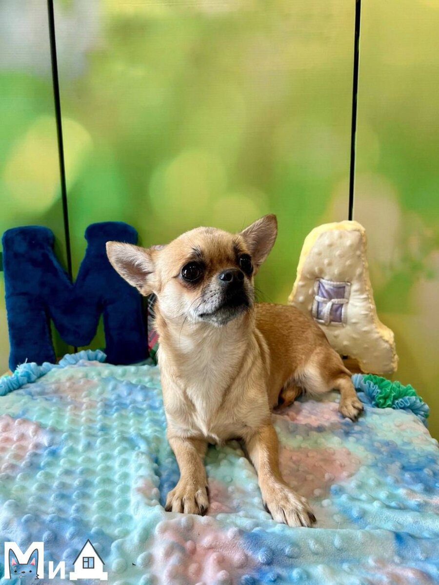 «Было очень страшно фотографироваться, но я старалась, правда»