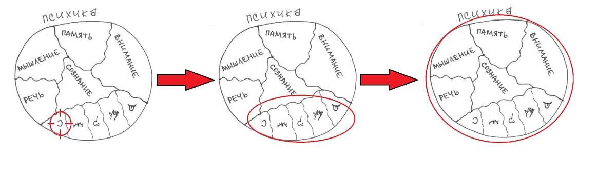 Рис 2. Чтение - это не только развитие речи и слуха. Это включение в работу всего мозга.