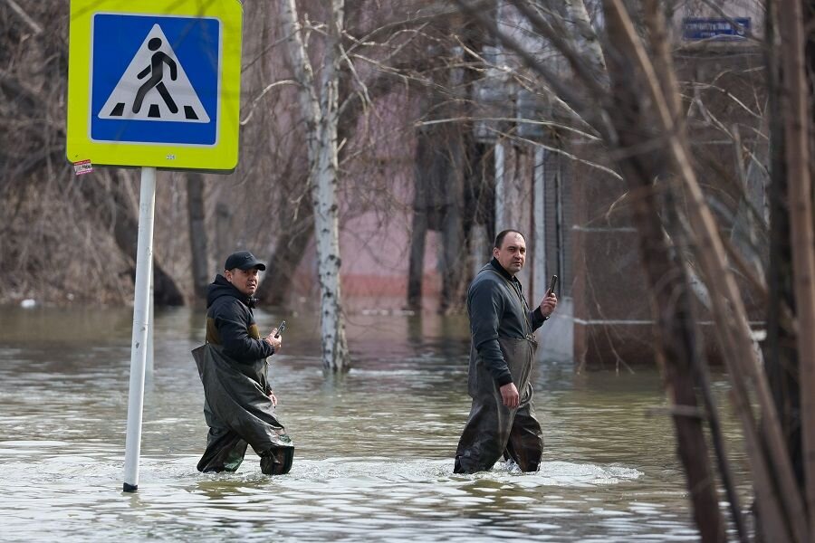    © Егор Алеев/ТАСС