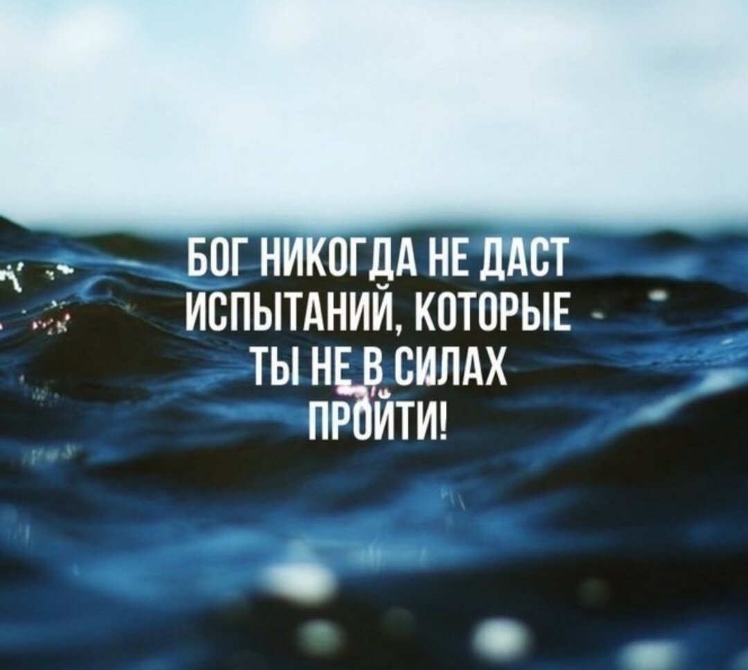 Картинка из открытого источника в интернете
