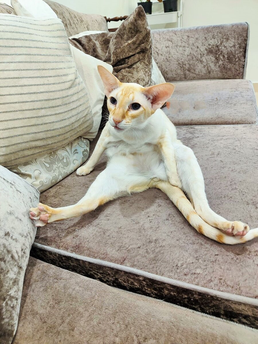 "Кто-то смеет меня не любить?" (фото из личного архива)