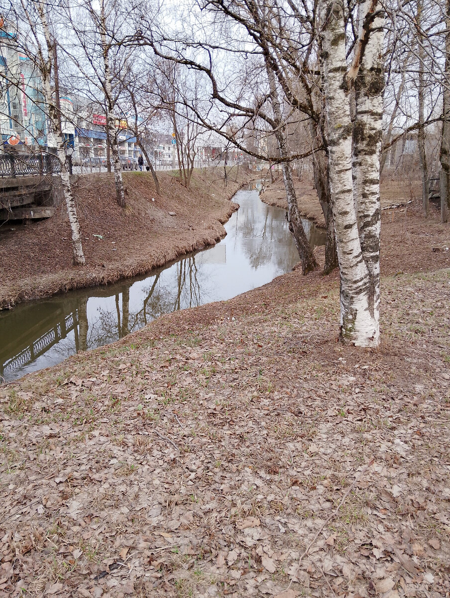 Вечером было серо, вид на речку Золотуху. Общегородского субботника пока не было, прошлогодняя листва не убрана, но травка местами уже пробивается. Фото автора