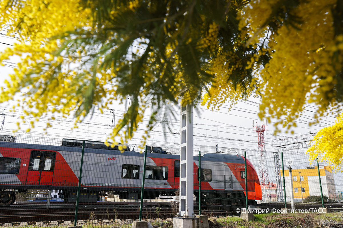    Фото: Дмитрий Феоктистов / ТАСС