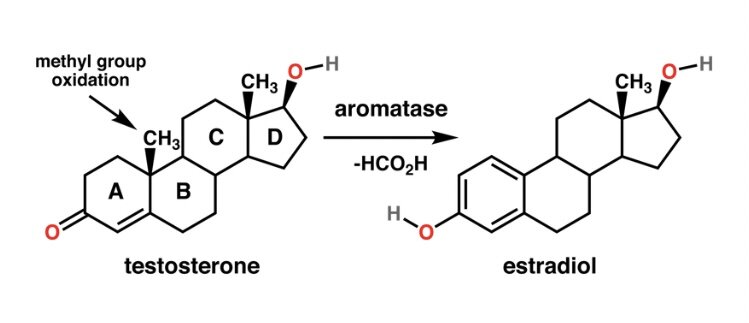 Ароматизация - это преобразование тестостерона в женский эстрадиол путём присоединения атома водорода к молекуле тестостерона. 