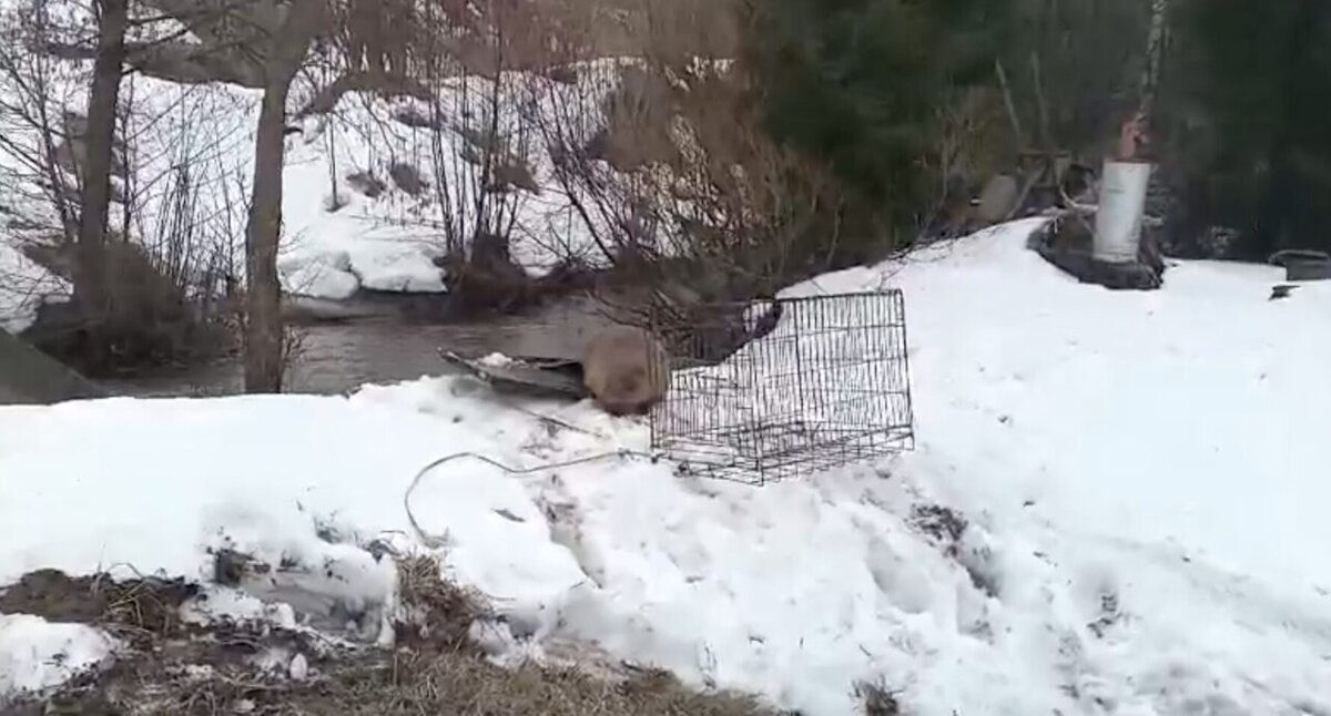    Госкомитет РТ по биоресурсам