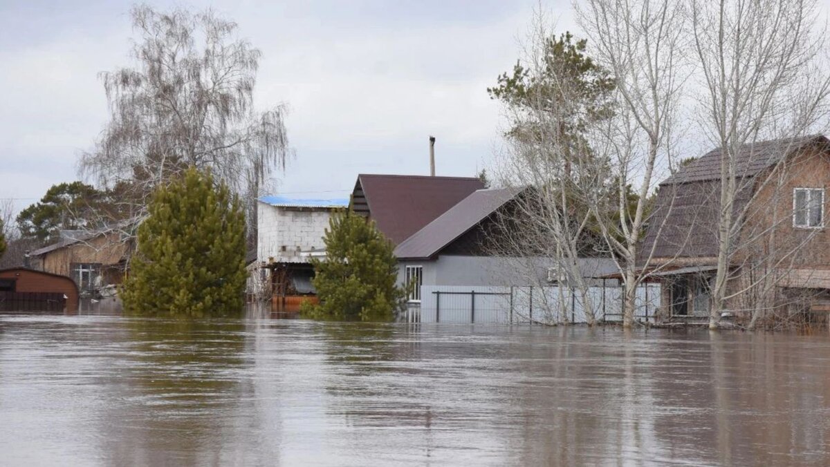 В Оренбуржье превышен опасный уровень воды в реке Урал | Время Новостей |  Дзен