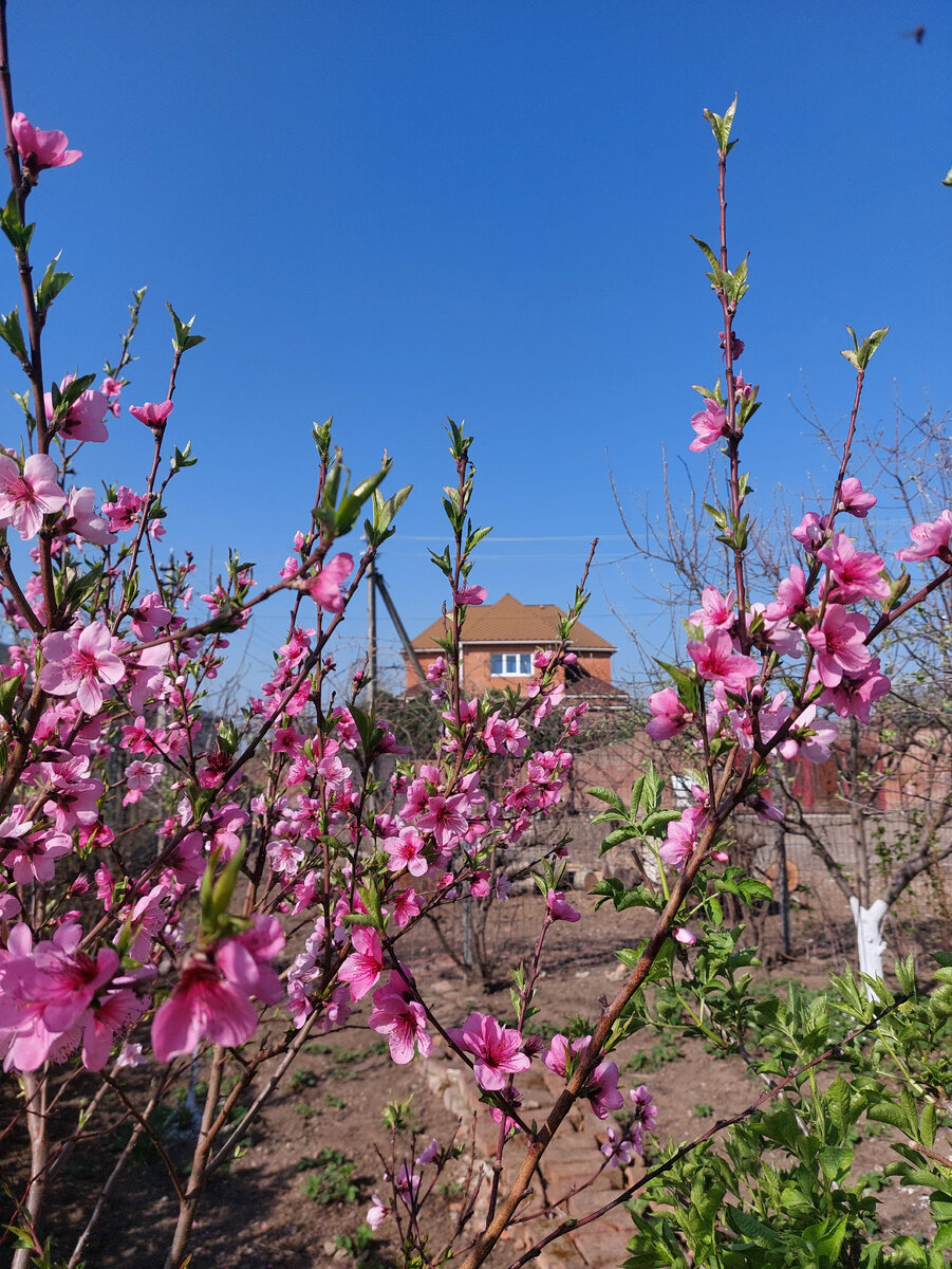 Фото автора вдали наш дом
