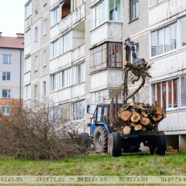 В кустах возле орудия поставили зеркало и столик