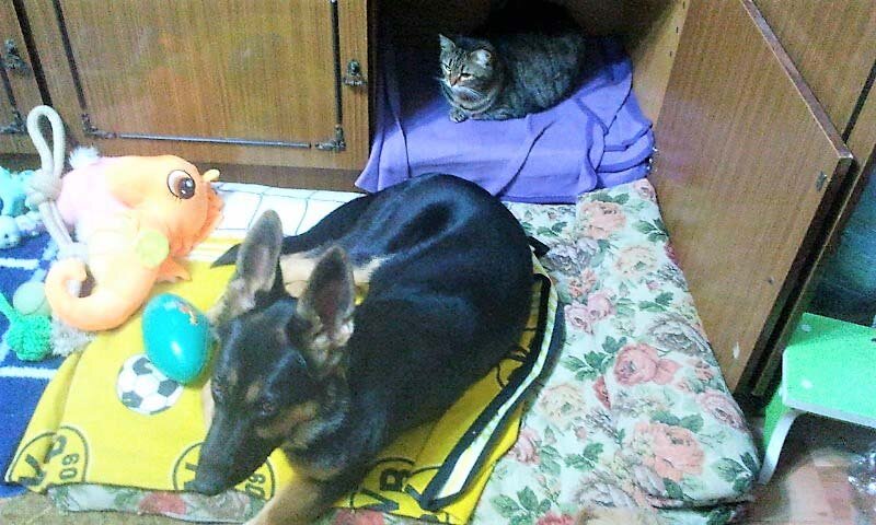 Фото автора