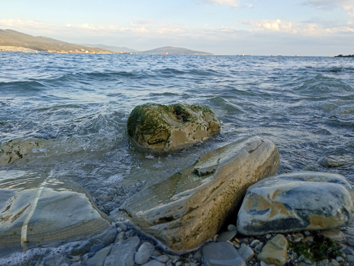 На море скучаю по березам, а среди берез вспоминаю о море | Байки Альки на  Фэтбайке | Дзен