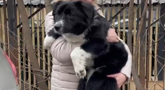 Лялечке примерно 8 месяцев  
