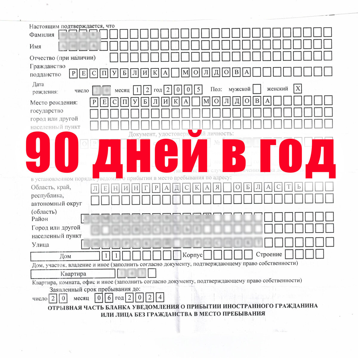 МВД завершило работу над проектом, ужесточающим контроль в сфере миграции |  Миграционный консультант в РФ | Дзен