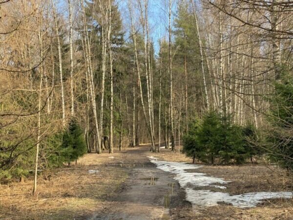    Фото: Светлана Лобова. UG.RU